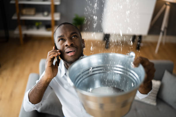 Best Mold removal after water damage  in Angwin, CA