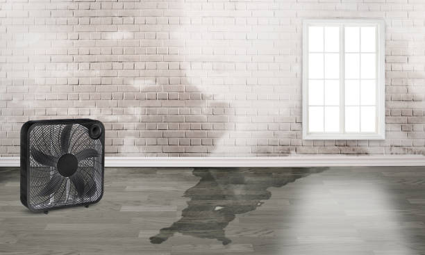 Best Sewage cleanup and water damage restoration  in Angwin, CA