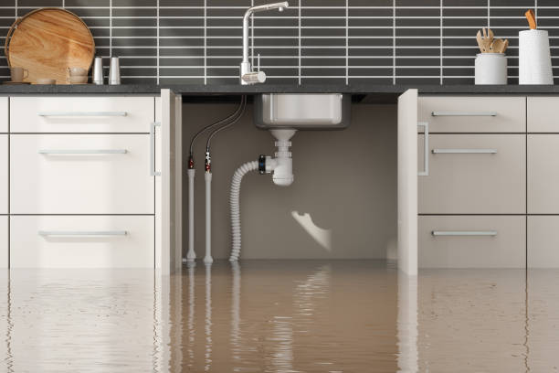 Best 24/7 water damage repair  in Angwin, CA